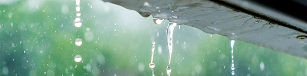 Preparing for Stormy Weather