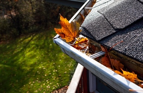 Preparing Your Home for Fall: Essential Tips for a Cozy and Efficient Season