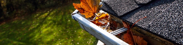 Preparing Your Home for Fall: Essential Tips for a Cozy and Efficient Season