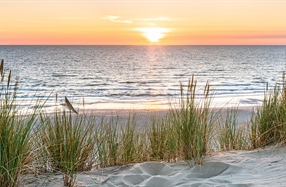Essential Tips for a Smooth Summer