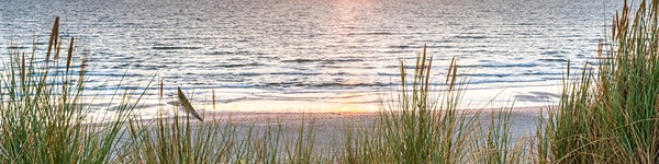 Essential Tips for a Smooth Summer